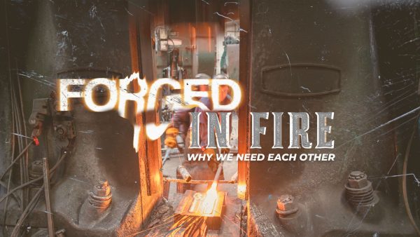 FORGED IN FIRE | 26 MAR | AFR Image