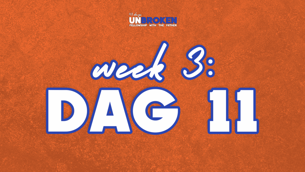 Dag 11