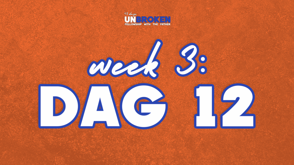 Dag 12