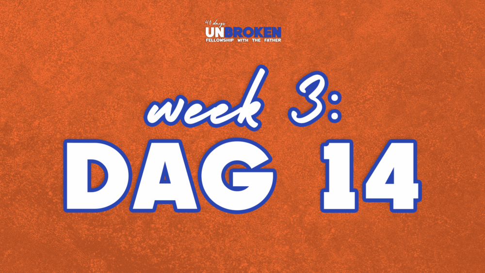 Dag 14
