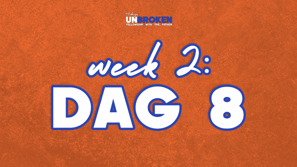 Dag 8