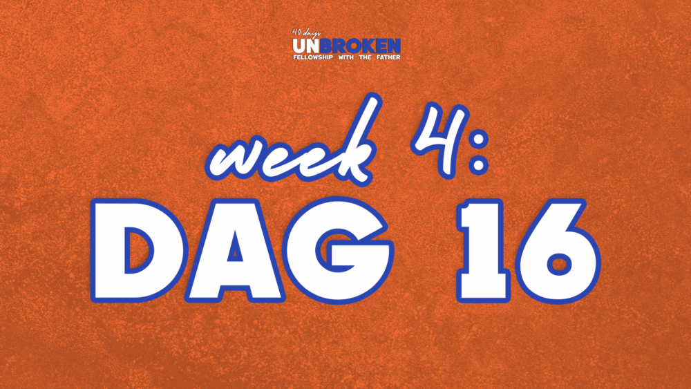 Dag 16