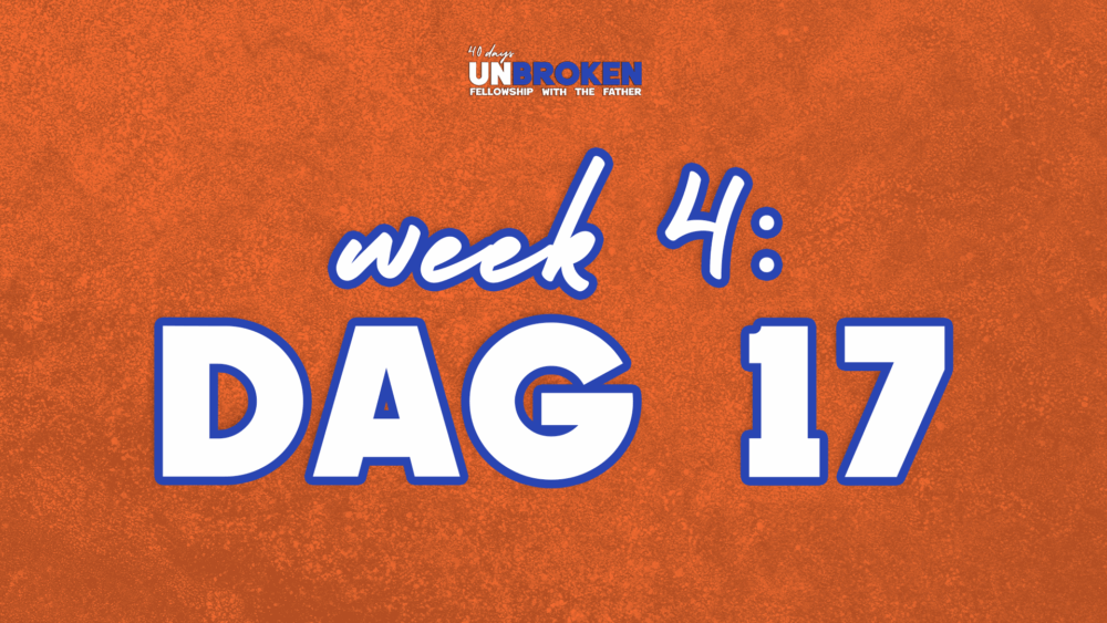 Dag 17