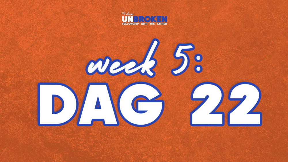 Dag 22