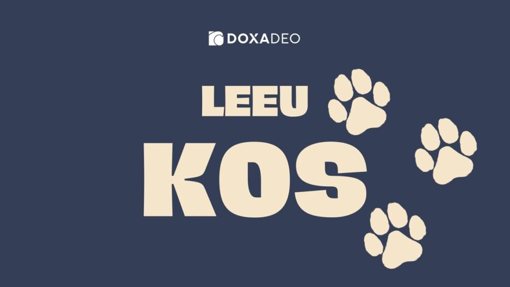 Leeu Kos