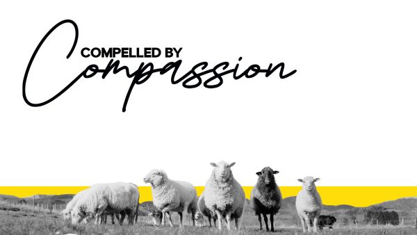 Compassion