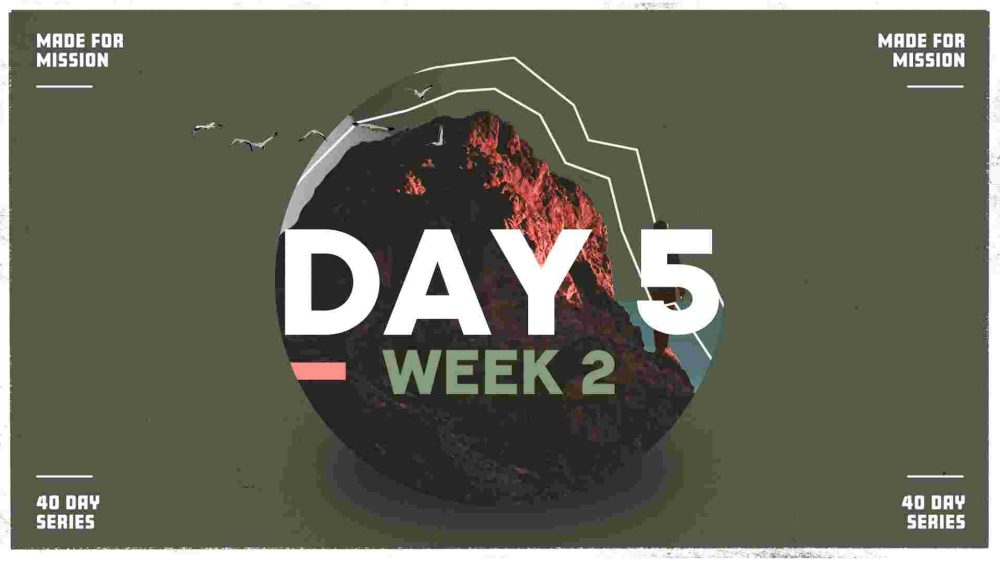 Day 5 Image