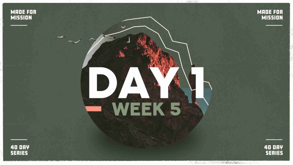 Day 1  Image