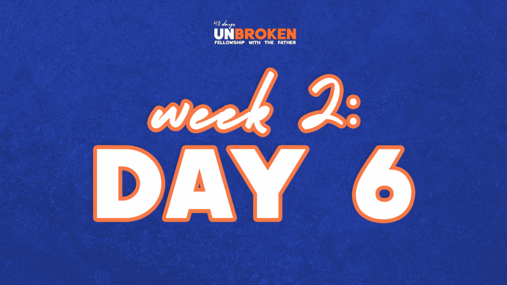 Day 6