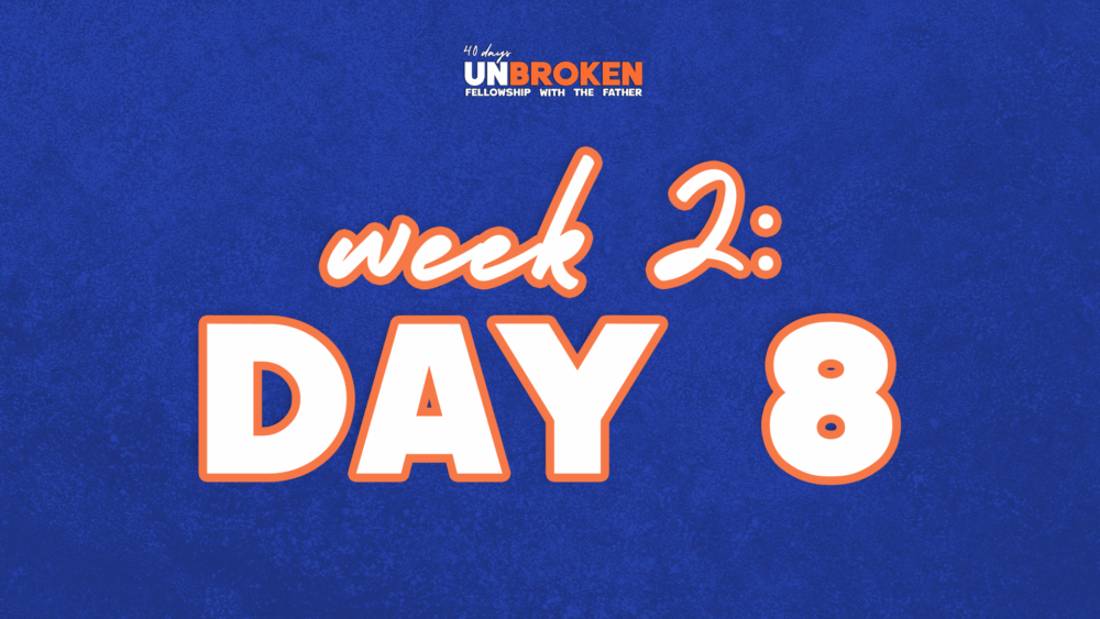 Day 8