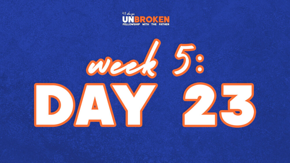 Day 23
